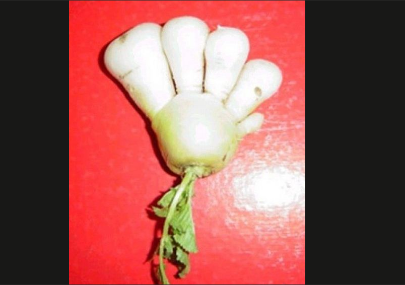 Tsunami, Japan, Jordbavning